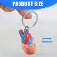 thumbnail image 5 of Anatomical Heart Keychain High Detail 3D Printed ABS Model for Students Professionals Lightweight 20g Educational Tool, 5 of 10
