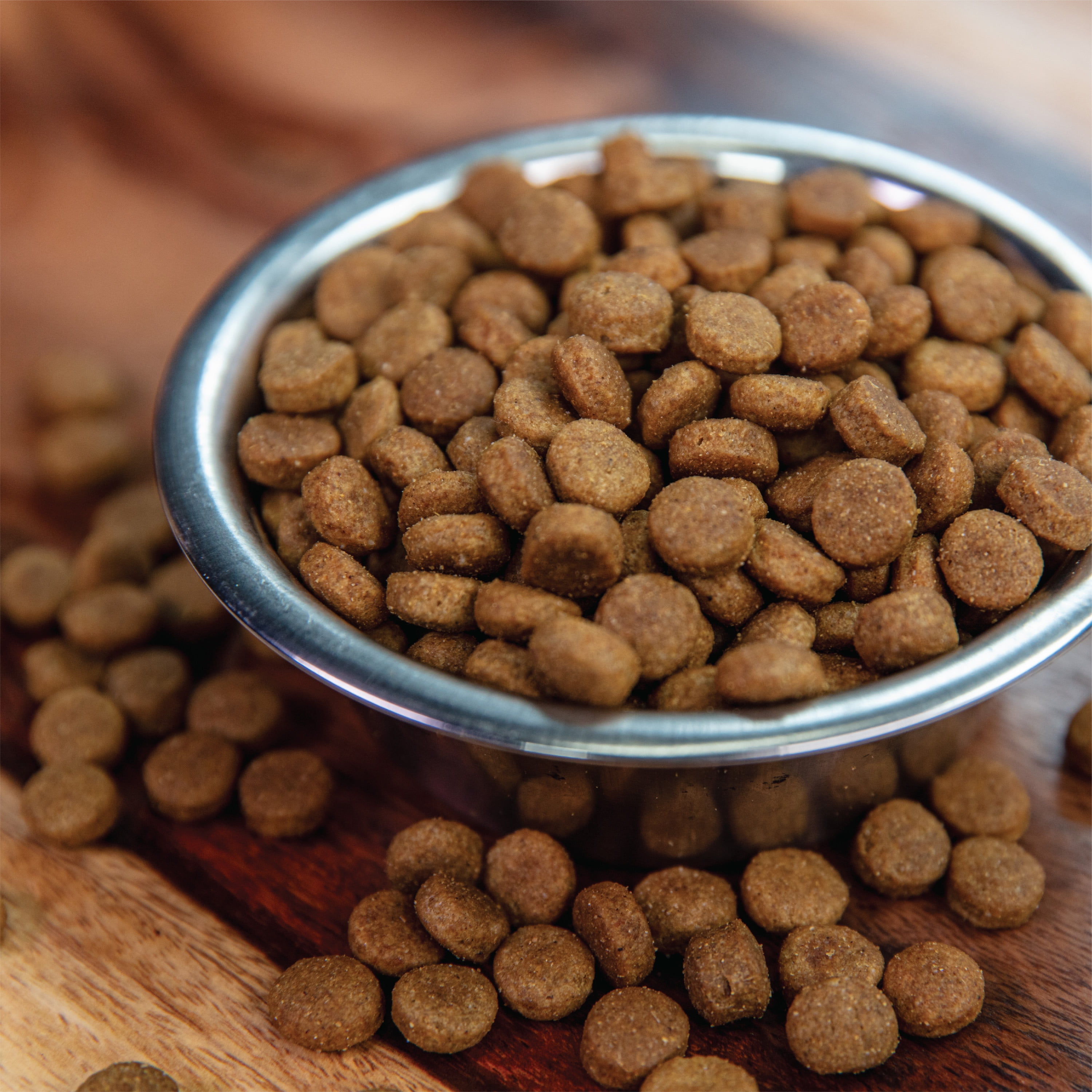 walmart nutro puppy food