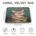 thumbnail image 2 of Bath Mats for Bathroom, Non Slip Absorbent Toilet Mat, Funny Cat Washable Cover Floor Rug Carpets Floor Mat Bathroom Decorations for Kitchen Bedroom Indoor 16"x24", 2 of 8