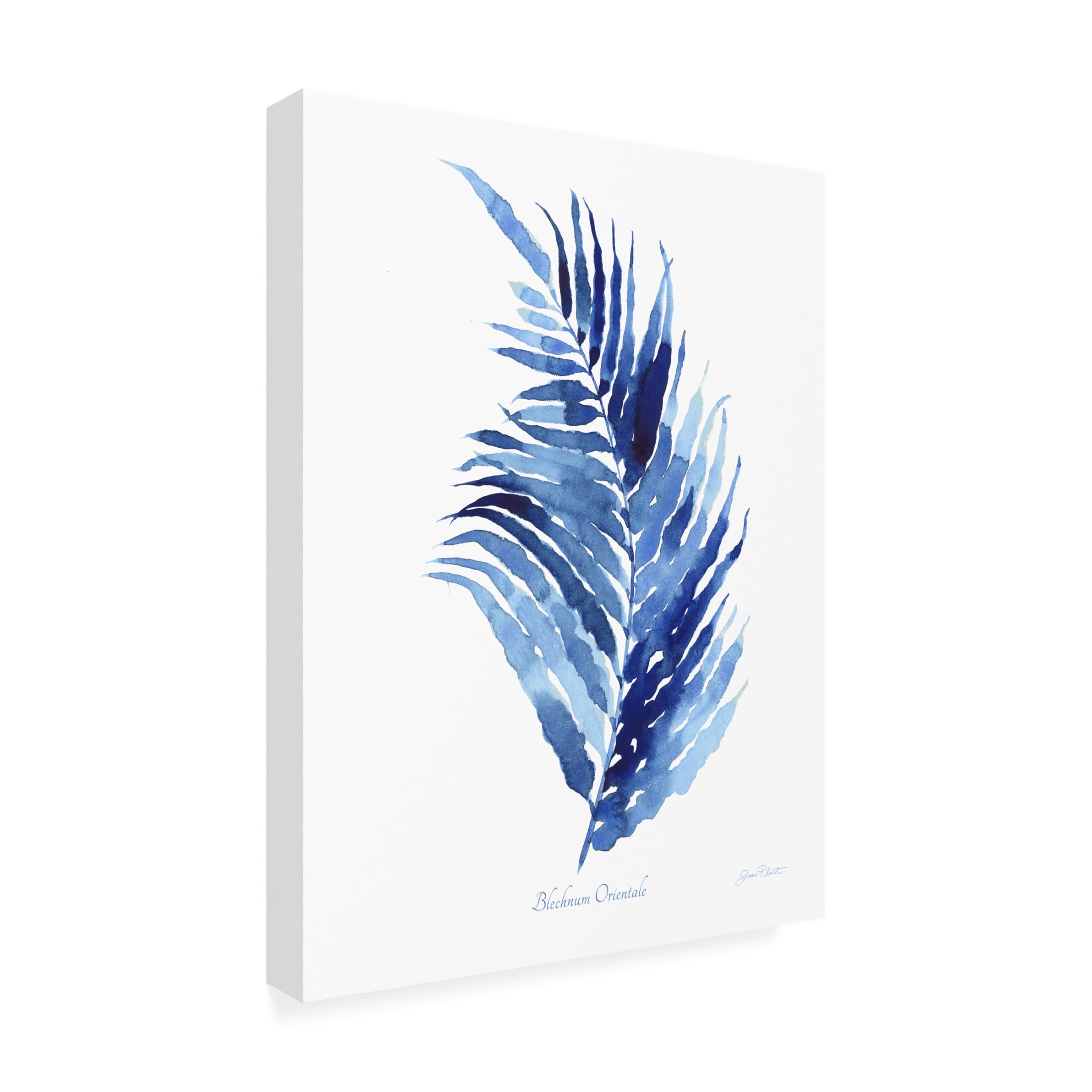 Canvas Wall Art - Jean Plout 'Indigo Botanical 7' Wall Art for Living Room, Bedroom, or Office Décor by Trademark Fine Art - 14 x 19 Inches