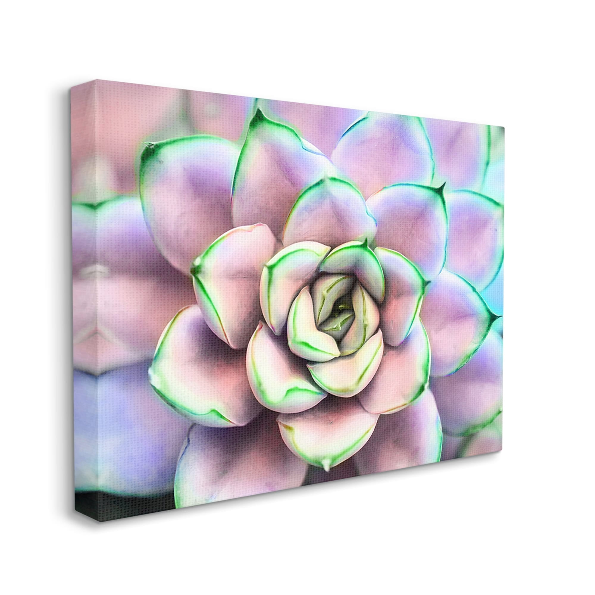 Stupell Industries Purple & Green Succulent Petals Botanical & Floral Photography Gallery Wrapped Canvas Print Wall Art