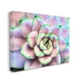 thumbnail image 3 of Stupell Industries Purple & Green Succulent Petals Botanical & Floral Photography Gallery Wrapped Canvas Print Wall Art, 3 of 5