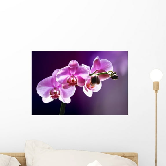 Purple Orchid Romance Wall Mural by Wallmonkeys Peel and Stick Graphic (18 in W x 12 in H) WM313232