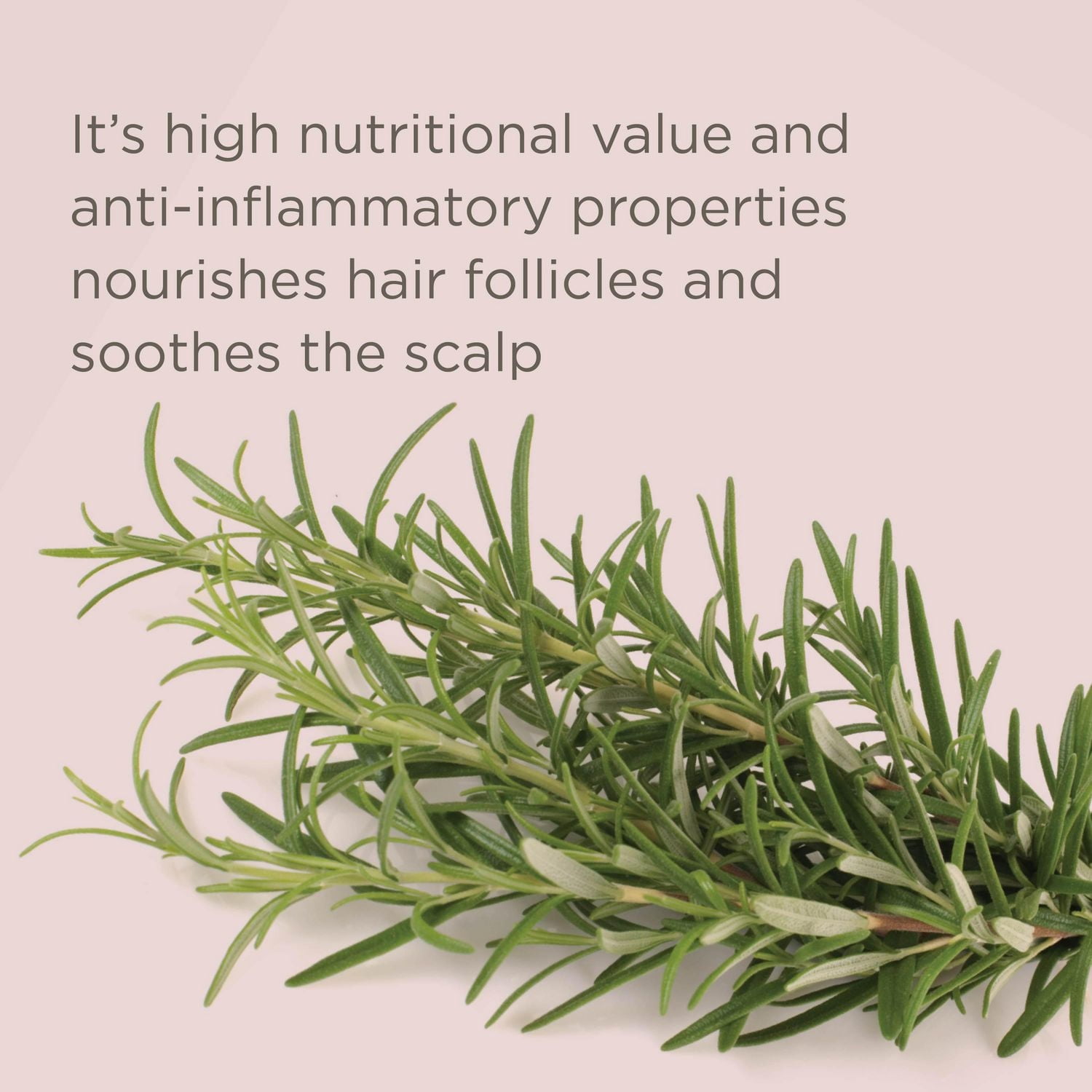 The Rice is Right Rice Water Hair Rinse, Hair Rinse