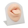 thumbnail image 2 of Modèle de Langue en Silicone, Modèle de Langue de Perçage Simulé Flexible Réaliste Doux pour Salon de Perçage, 2 of 7