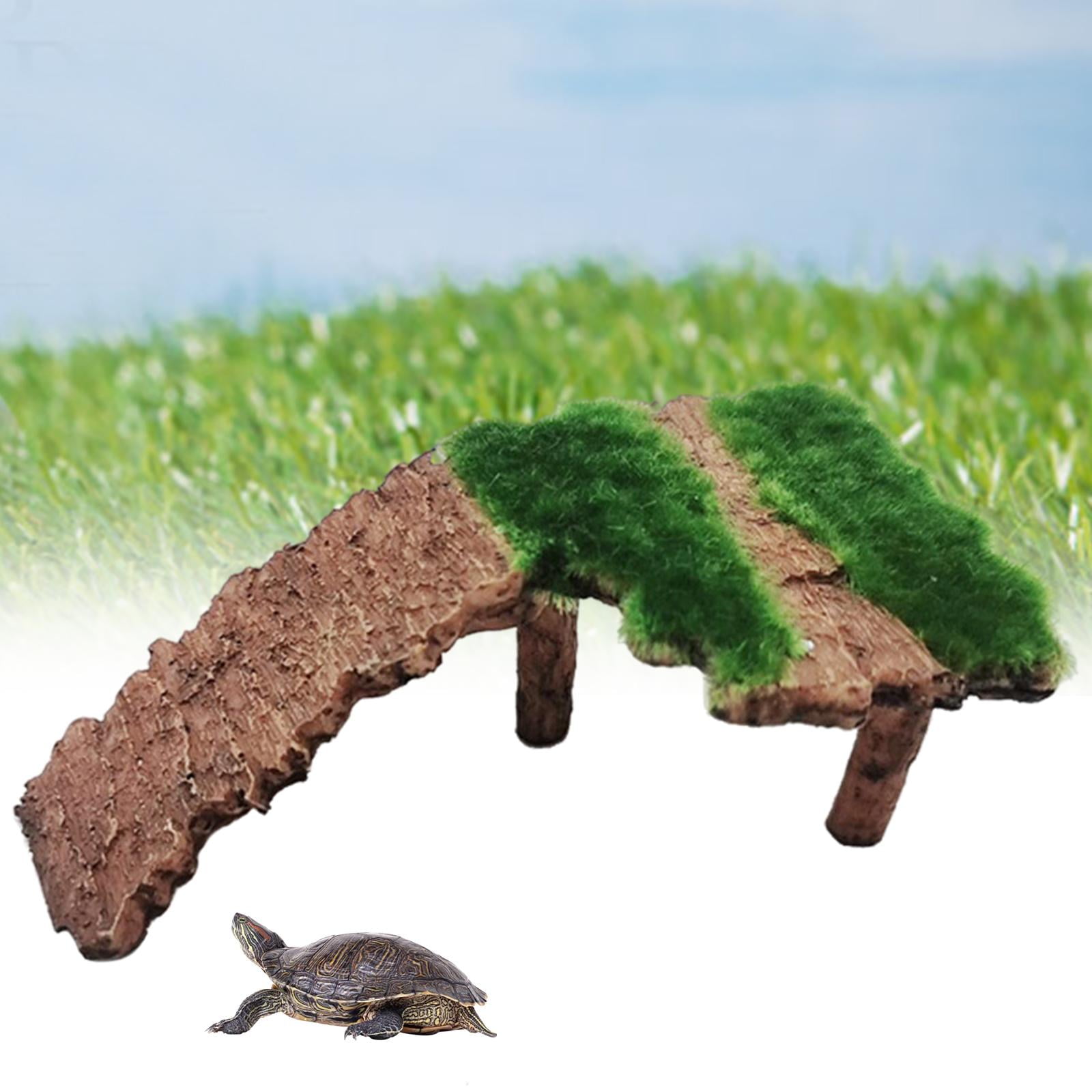 Turtle Basking Platform Tortoise Resting Terrace Climbing Ladder Design Easy to 16x9x6cm B