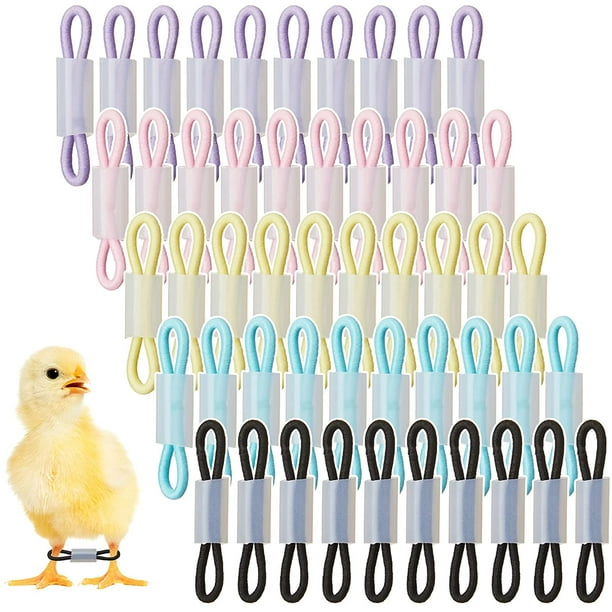 Poultry Foot Rings, Clip-On Adjustable Poultry Leg Bands For Farm For Duck  For Goose For Livestock Farm For Chicken 