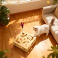 thumbnail image 5 of Interactive Cat Enrichment Puzzle Toy for Indoor Felines Stress Nail File Alternative with Play Stick, 5 of 5