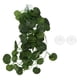 thumbnail image 2 of Plantas de reptiles para terrorio, Enredaderas de reptiles plátulas de reptiles terrorio de selva flexible y plantas flexibles colgantes enredaderas hojas artificiales, 2 of 7