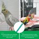 thumbnail image 5 of Percha para loros de madera natural, soporte para pájaros, palo para pulir patas, soporte para percha para loros, 5 of 8