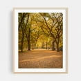 thumbnail image 2 of Autumn in Central Park, New York 01 - Manhattan New York Photography Autumn Nature Forest Landscape Botanical Rustic Travel Poster Unframed Wall Art Print 22 x 28 inches, 2 of 13