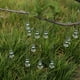 thumbnail image 3 of 10 piezas de decoraciones para árboles de Navidad colgante de gota de hielo de carámbano hecho de vidrio para colgar la decoración de Navidad Adepaton HR-0022, 3 of 7