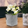 thumbnail image 4 of RENACLIPY 5 Pcs Pots de Culture Gris pour le Développement des Racines avec Design d'Aération Extérieur, 4 of 6