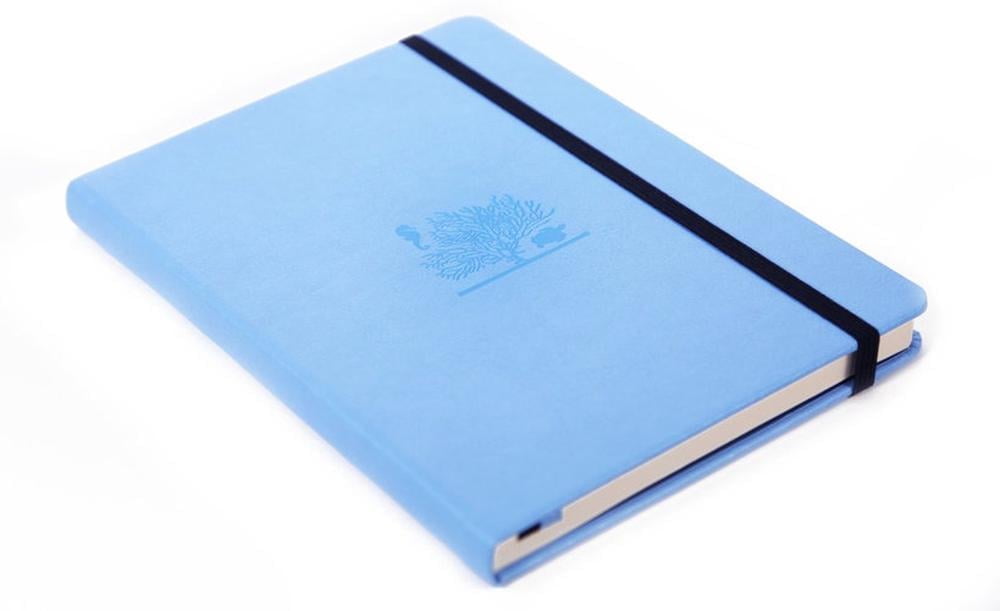 Earth A5+ Sky Blue Great Barrier Dotted, (Hardcover)