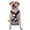With Accessories, variant on Vsdgher Mom And Baby Owls Pattern Dog Harness,No Pull Pet Harness with Soft Padded Handle,Adjustable Reflective Vest with 2 Buckles,4 Slide Buckles,S-XL Small