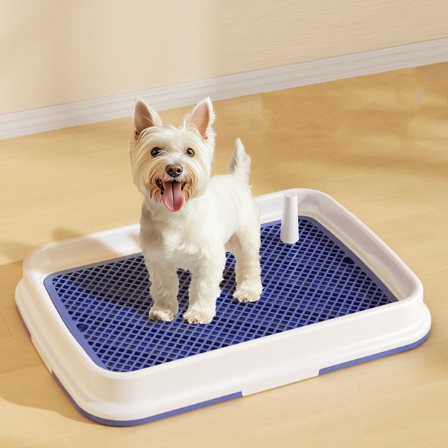 Dog Toilet High Fence Odor Proof Easy Clean Plastic Pee Pad Holder Pet Potty Tray for Small Dogs