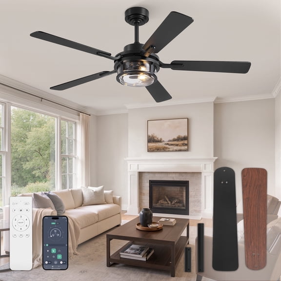 Lokivas 52 inch Modern Black Ceiling Fan with Light, Quiet 6-Speed Reversible DC Motor, Remote Control with Timer, Downrod Mount, for Bedroom, Living Room