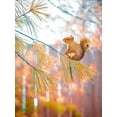 thumbnail image 2 of Love Grams 14x18 White Modern Wood Framed Museum Art Print Titled - Squirrel Bokeh, 2 of 4