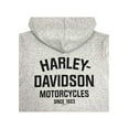 thumbnail image 2 of Harley-Davidson Big Boys' B&S Logo Fleece Terry Pullover Hoodie - Gray (8/10), Harley Davidson, 2 of 2