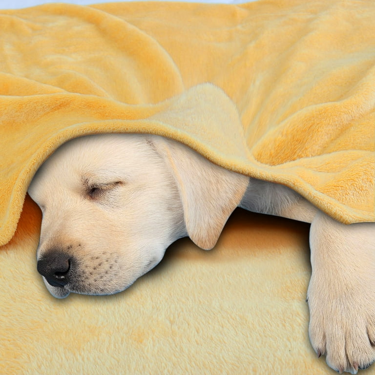 2m throw blanket sale