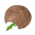 1 Pack Natural Coconut Reptile Hideouts, Lizard, Spider and Aquarium ...
