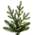 thumbnail image 2 of Vickerman 7.5' x 60" North Shore Fraser Fir Artificial Christmas Tree, LED Warm White Lights, 2 of 5