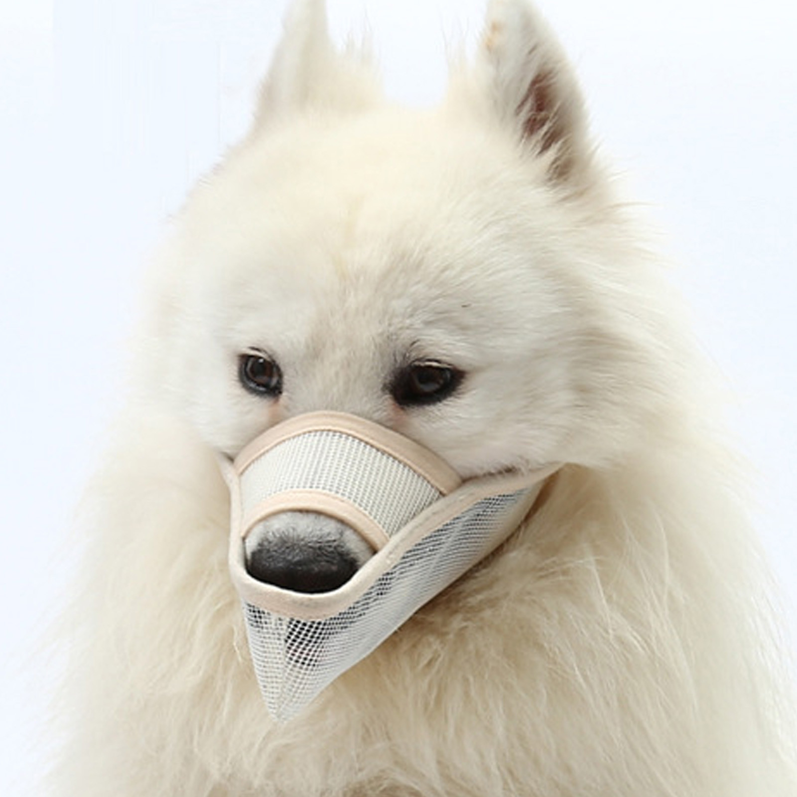 SHENGXINY Clothes For PET Clearance New Dog Muzzle Cover, NoMisuse Dog