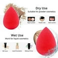 thumbnail image 2 of Dicasser 17 Pcs Triangular Makeup Powder Loose Powder Foundation Smooth Mineral Powder Wet Dry Makeup Tool, 2 of 10
