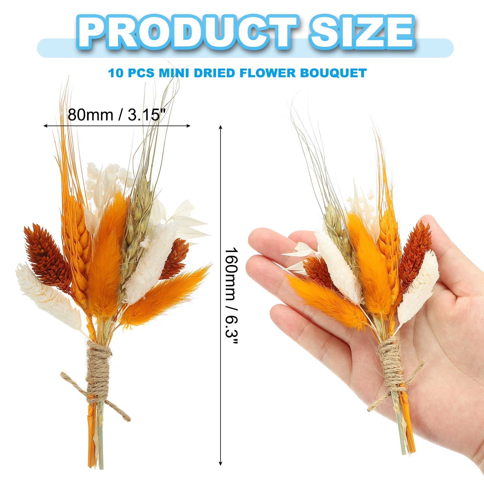 Uxcell 10 Pcs Mini Pampas Grass Dried Flower Bouquet Baby's Breath Boho DIY Gift Orange