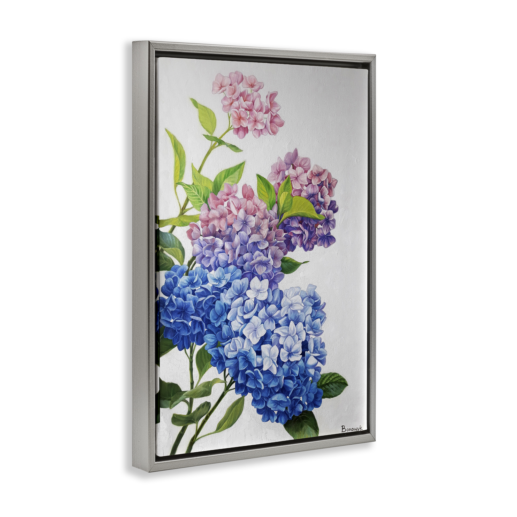 Stupell Industries Detailed Hydrangea Gradient Botanical & Floral Painting Gray Floater Framed Art Print Wall Art, 21 x 31