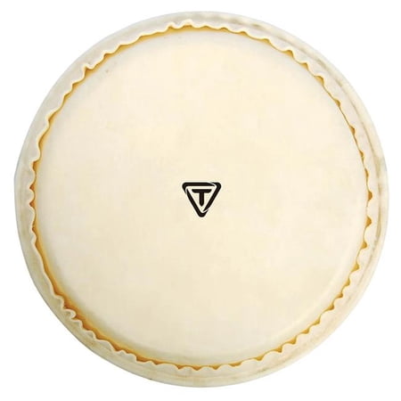 Tycoon 11 in. Signature Series Replacement Calf Quinto Head