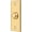 Lifetime Polished Brass, variant on Rectangular Contemporary Bell Button, Satin Chrome