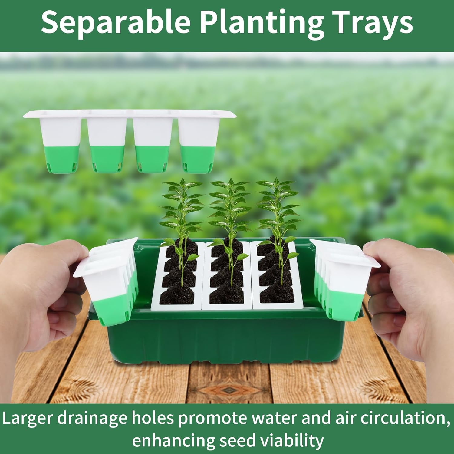 Seed Starter Tray with Soft Silicone Cells, 80 Cells Seedling Trays Seed Startering Kit, 4 Pack Plant Starter Trays with Humidity Dome, Base Mini Greenhouse Germination Kit