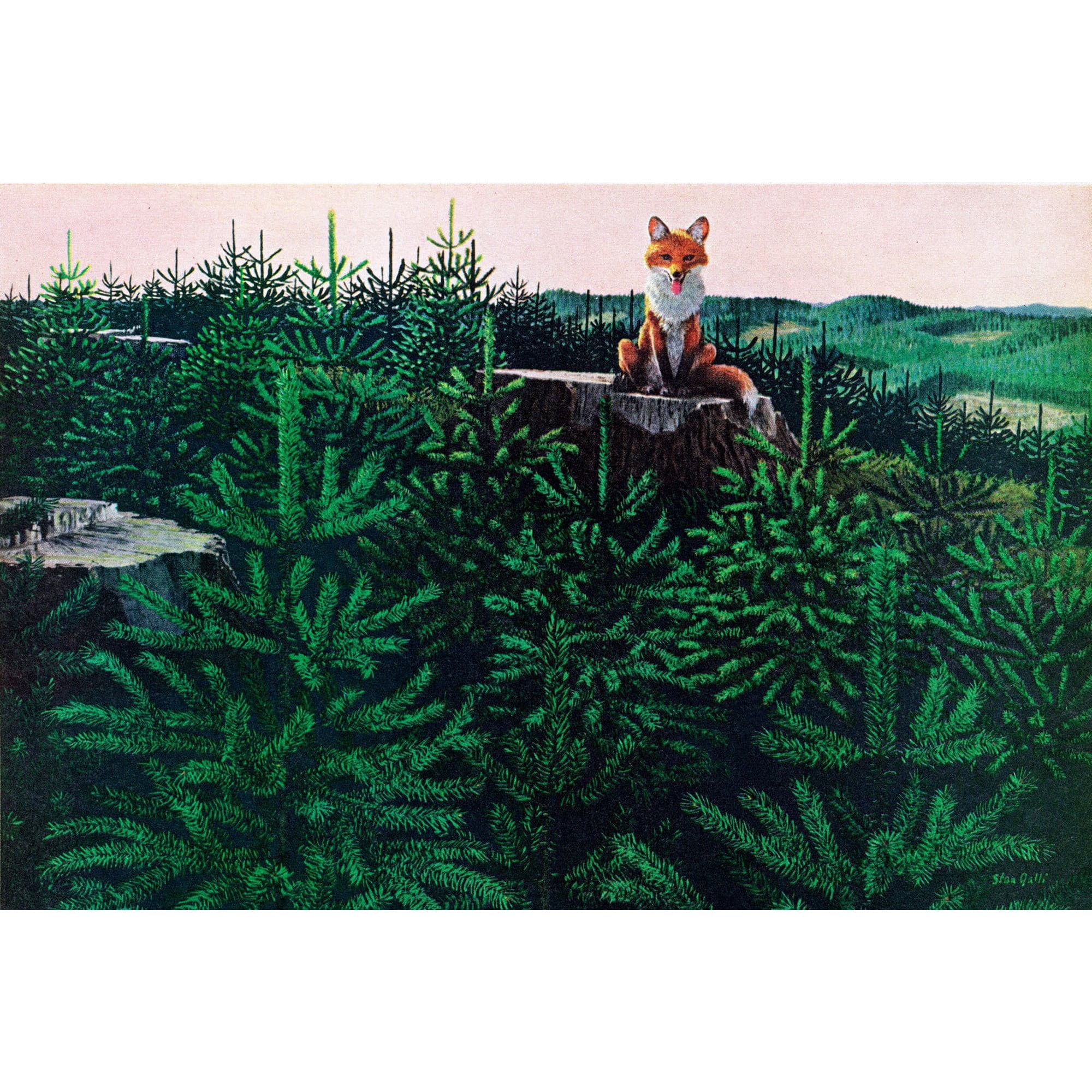 Marmont Hill "Mischievous Fox" Painting Print on Wrapped Canvas