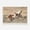 12, variant on Wildlife Wall Art Western Country Rustic Print Buffalo Bull Elk Cowboy Horse Yellowstone Bison Canvas Painting Home Decor50 x 70 cm, unframed,10