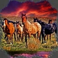 thumbnail image 2 of CafePress - Sunset Horses Maternity Dark T Shirt - Maternity Dark T-Shirt, 2 of 3