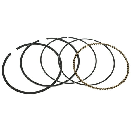 MTD 951-05156 Piston Ring Set Troy-Bilt