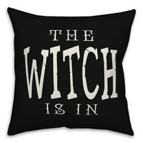 Creative Products The Witch is in 18x18 Indoor / Outdoor Pillow