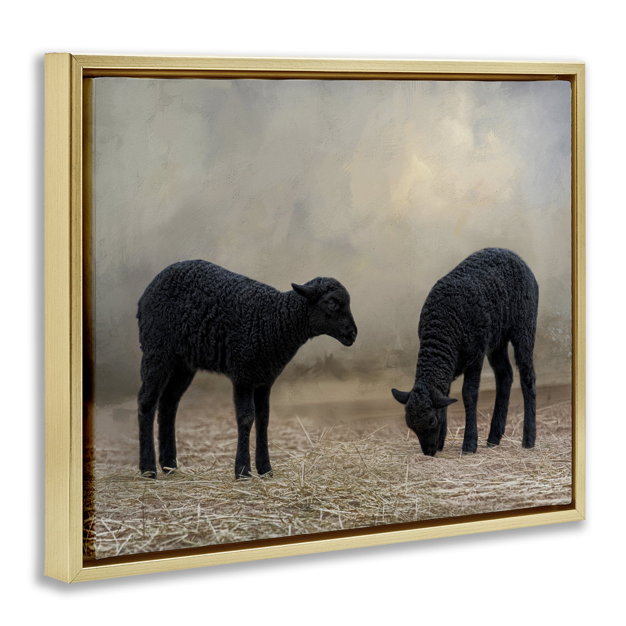 Stupell Industries Black Sheep Grazing Animals & Insects Photography Gold Floater Framed Canvas Art Print Wall Art, 21 x 17