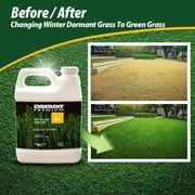 Endurant Premium Medium, 32oz, green grass lawn colorant