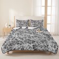 thumbnail image 3 of Quilts Full Size Bedding Set, Spring Black Gray Cobweb Lightweight Quilted Comforter, Abstract Minimalist Farmhouse Lines Soft Bedspread Coverlet with Pillow Covers for All Season, 78" x 90", 3 of 9