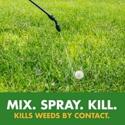 Spectracide Weed Stop for Lawns Plus Crabgrass Killer Concentrate, 40 oz