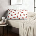 thumbnail image 6 of Daiia Hand Drawn Watermelon Bedding Waterproof Pillow Protector Zippered Queen – Bed Bug Proof Pillow Encasement-16"x24", 6 of 6