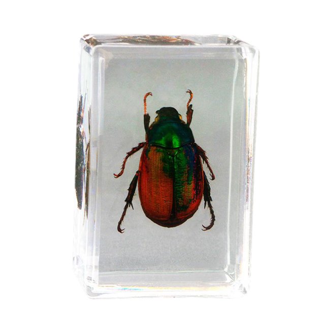 Inteprter Espécimen y niños de escarabajos avispa araña escorpión no tóxicos e inodoros de resina. Adultos duraderos. Decoración del hogar Oro pátina rojo vino