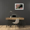 thumbnail image 3 of Crane, Rita 24x17 White Modern Wood Framed Museum Art Print Titled - Kalanchoe Blossom II, 3 of 4