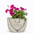 thumbnail image 1 of Ensemble de 4 Petits Jardinières Visage dans les Mains, 1 of 1