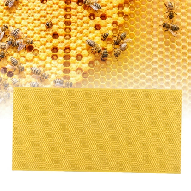 Outil d'Apiculture, Sûr Non Apiculture, pour Apiculture à Domicile Ferme Fermier Jardin Apiculteur