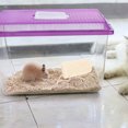 thumbnail image 4 of Miangastore 1Pcs Loofah Chewing Plaything for Rodents Environment Protection 4.3x2.2in, 4 of 9