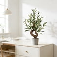 thumbnail image 6 of TOARTi Olive Bonsai Tree Faux Fruit Potted Plant Handmade For Tabletop Desk Office Kitchen Living Room Bedroom 1.7 ft, 6 of 8