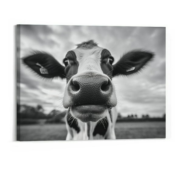 Creowell Canvas Print Wall Art Black and White Freedom Highland Cow Pictures Funny Animal Painting Stretched and Framed Artwork for Home Office Decor Ready to Hang 20x16inch
